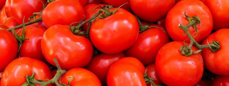 What's the difference between a tomato allergy and a tomato sensitivity?