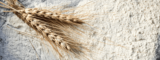 Wheat and gluten-what’s the difference